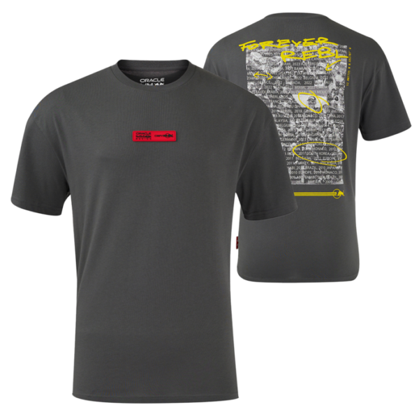 20th Anniversary t-shirt - Cool Grey - Forever REBL