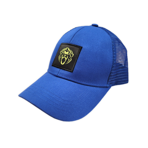 Cap Unleash the Lion - Dark Blue